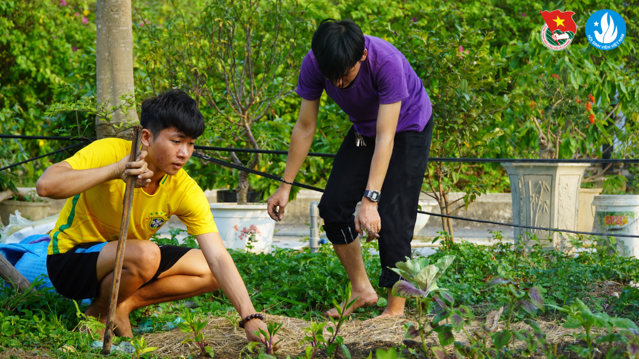Sinh viên game cá cược the thao
 tích cực tham gia trồng cây xanh