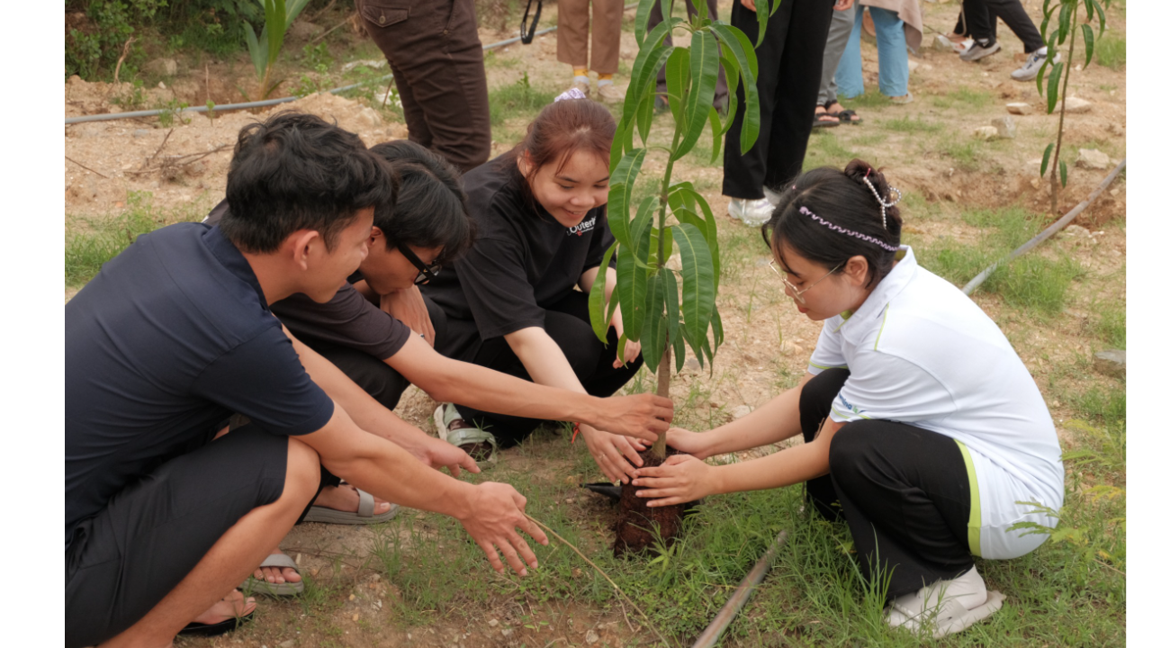 Đoàn trường Đại học Thái Bình Dương: Hưởng ứng Trồng cây – Xanh hơn, bền vững hơn